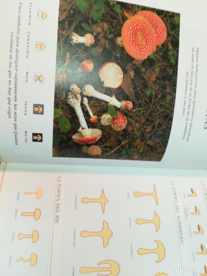 Libros de segunda mano: GERAD HOUDOU El mundo de las setas SA5321 - Foto 2