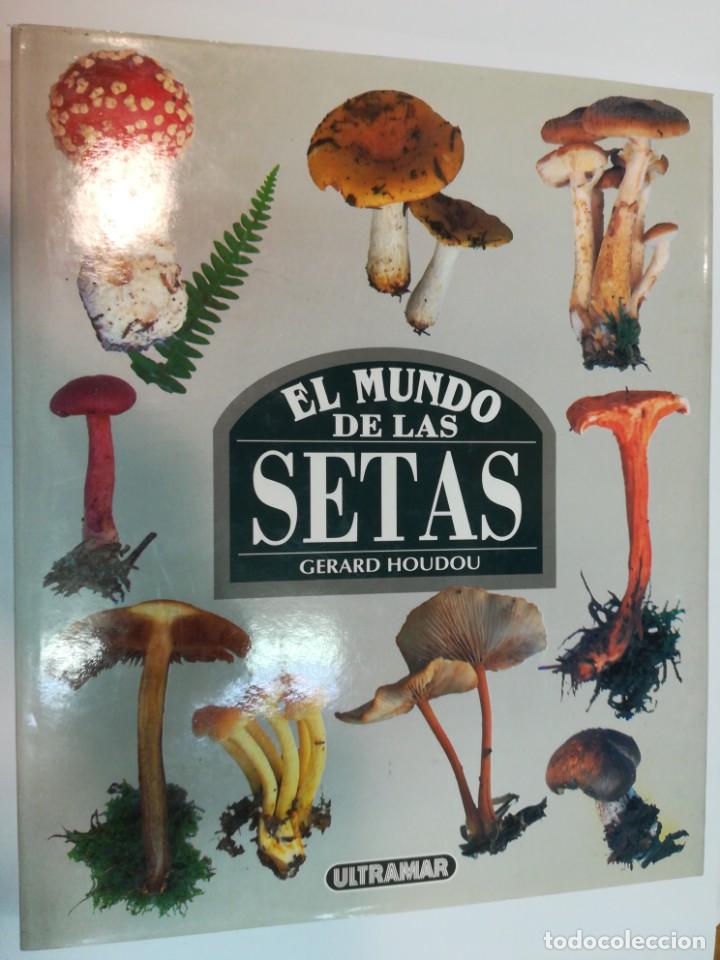 Libros de segunda mano: GERAD HOUDOU El mundo de las setas SA5321 - Foto 1
