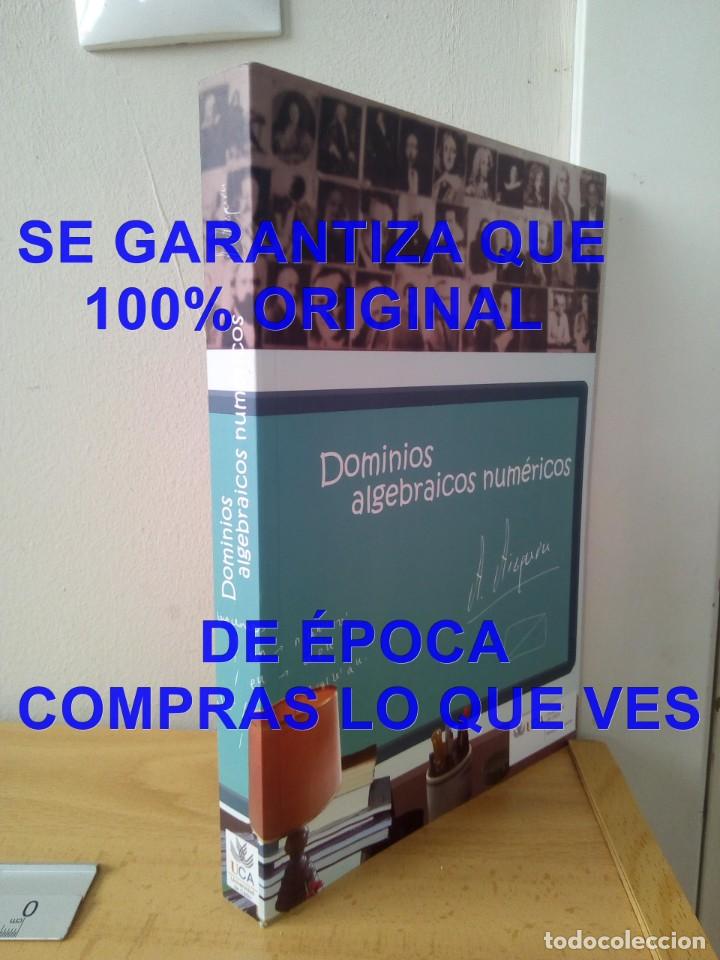 Libros de segunda mano de ciencias: DOMINIOS ALGEBRAICOS NUMERICOS ANTONIO AIZPURU U63 - Foto 1