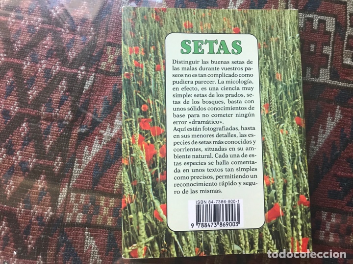Libros de segunda mano: Setas. Gu&iacute;a ilustrada. Andree Cochand. Iberlibro - Foto 2