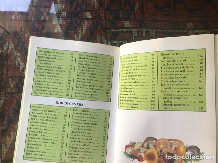Libros de segunda mano: Setas. Gu&iacute;a ilustrada. Andree Cochand. Iberlibro - Foto 4