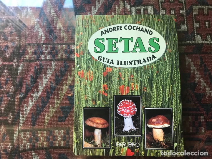 Libros de segunda mano: Setas. Gu&iacute;a ilustrada. Andree Cochand. Iberlibro - Foto 1