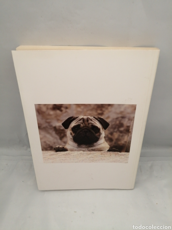 Libros de segunda mano: EL NUEVO LIBRO PARA COMPRENDER A TU PERRO - Foto 2