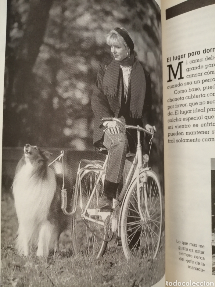 Libros de segunda mano: EL NUEVO LIBRO PARA COMPRENDER A TU PERRO - Foto 6