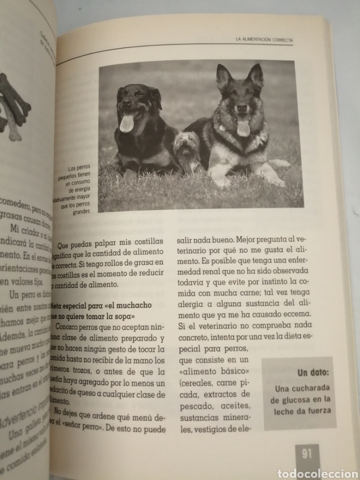 Libros de segunda mano: EL NUEVO LIBRO PARA COMPRENDER A TU PERRO - Foto 9