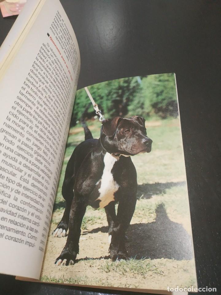 Libros de segunda mano: EL PIT BULL.- EDUARDO DE BENITO RUIZ - Foto 3