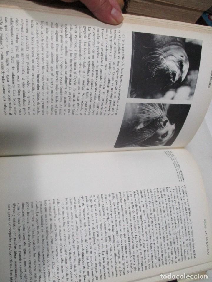 Libros de segunda mano: L. HARRISON MATTHEWS La vida de los mamiferos II W8867 - Foto 4