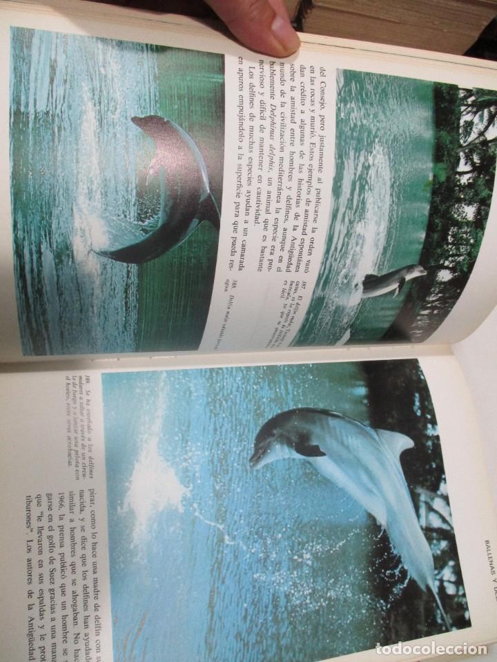 Libros de segunda mano: L. HARRISON MATTHEWS La vida de los mamiferos II W8867 - Foto 5