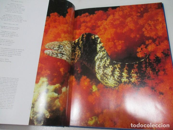 Libros de segunda mano: ROBERT E. STEVENSON ,DR. FRANK H TALBOT Oceanos W8897 - Foto 4