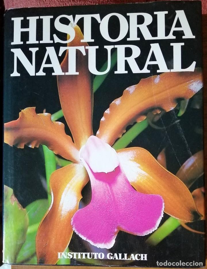 Libros de segunda mano: Historia Natural tomo 7, Instituto Gallach - Foto 1