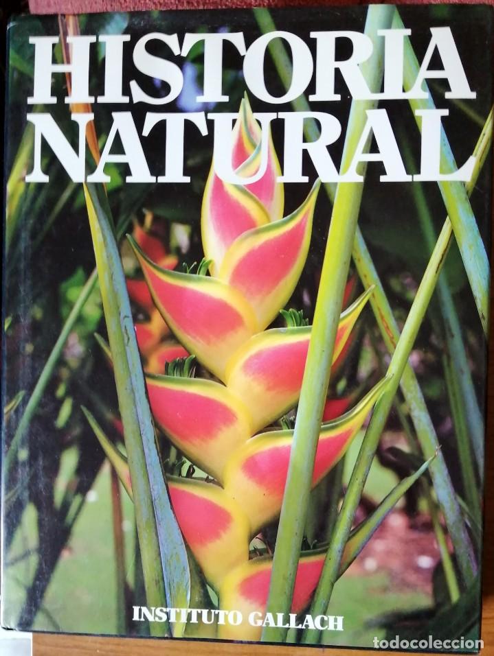 Libros de segunda mano: Historia Natural tomo 9, Instituto Gallach - Foto 1