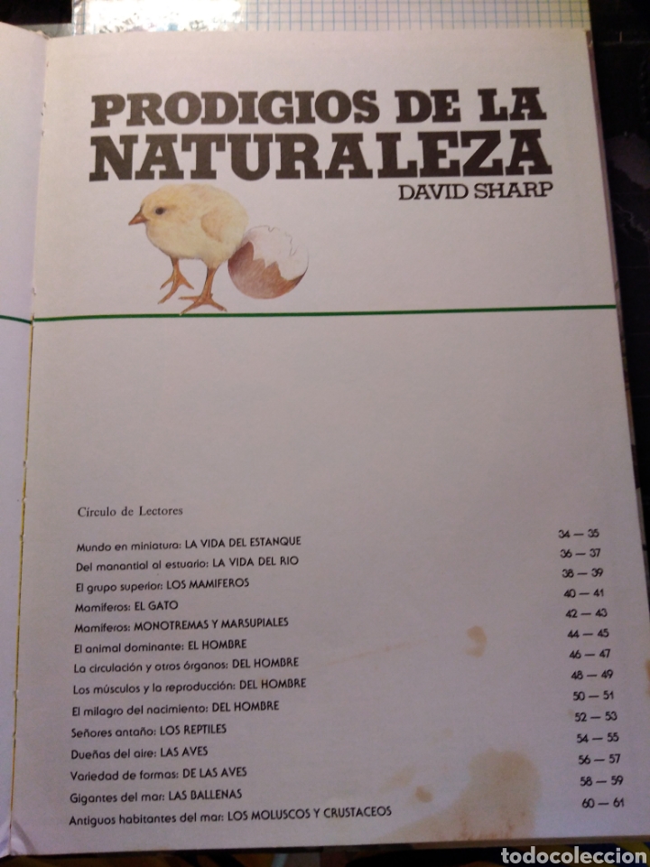 Libros de segunda mano: prodigios de la naturaleza David Sharp - Foto 4