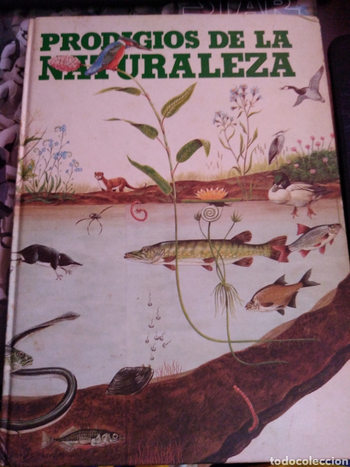 Libros de segunda mano: prodigios de la naturaleza David Sharp - Foto 1