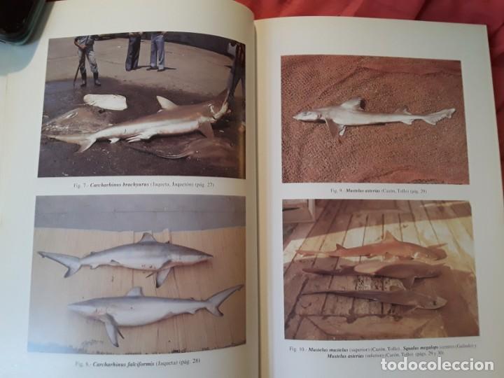 Libros de segunda mano: Cat&aacute;logo de los peces de las Islas Canarias, de Alberto Brito. Excelente estado - Foto 4