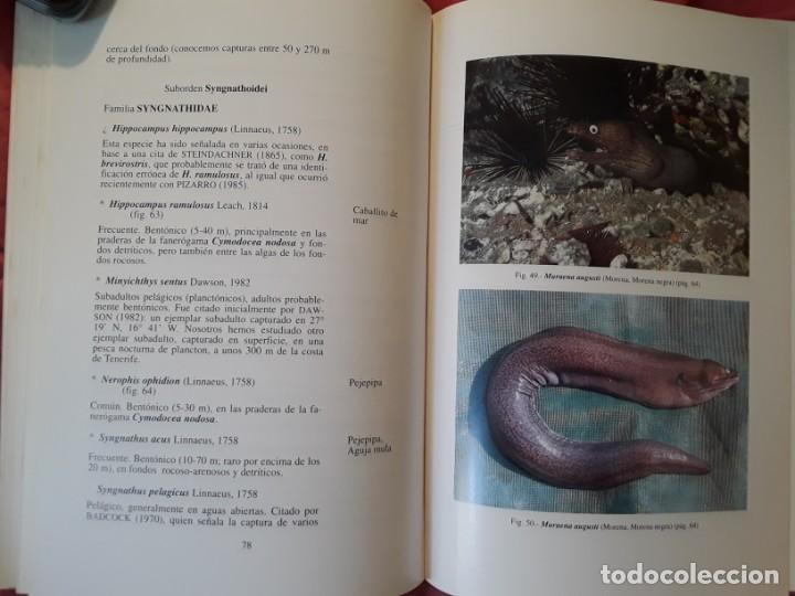 Libros de segunda mano: Cat&aacute;logo de los peces de las Islas Canarias, de Alberto Brito. Excelente estado - Foto 5