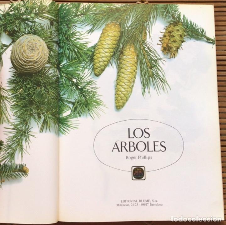 Libros de segunda mano: Los &aacute;rboles. Roger Phillips. Editorial Blume. 1985. - Foto 2