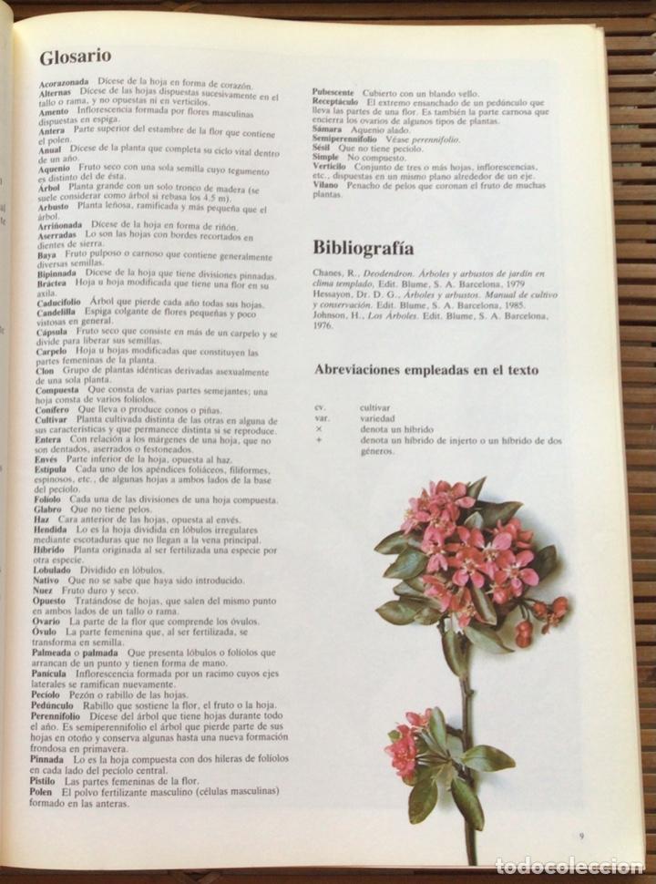 Libros de segunda mano: Los &aacute;rboles. Roger Phillips. Editorial Blume. 1985. - Foto 4