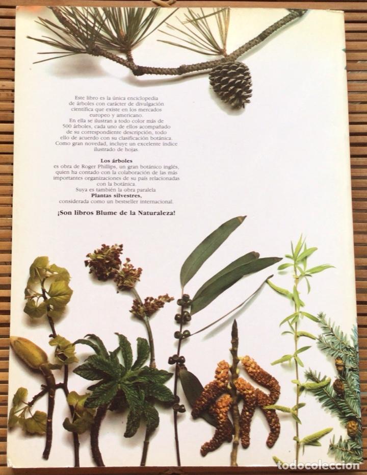 Libros de segunda mano: Los &aacute;rboles. Roger Phillips. Editorial Blume. 1985. - Foto 9