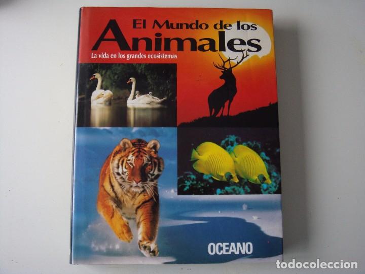 Libros de segunda mano: EL MUNDO DE LOS ANIMALES OCEANO - Foto 1