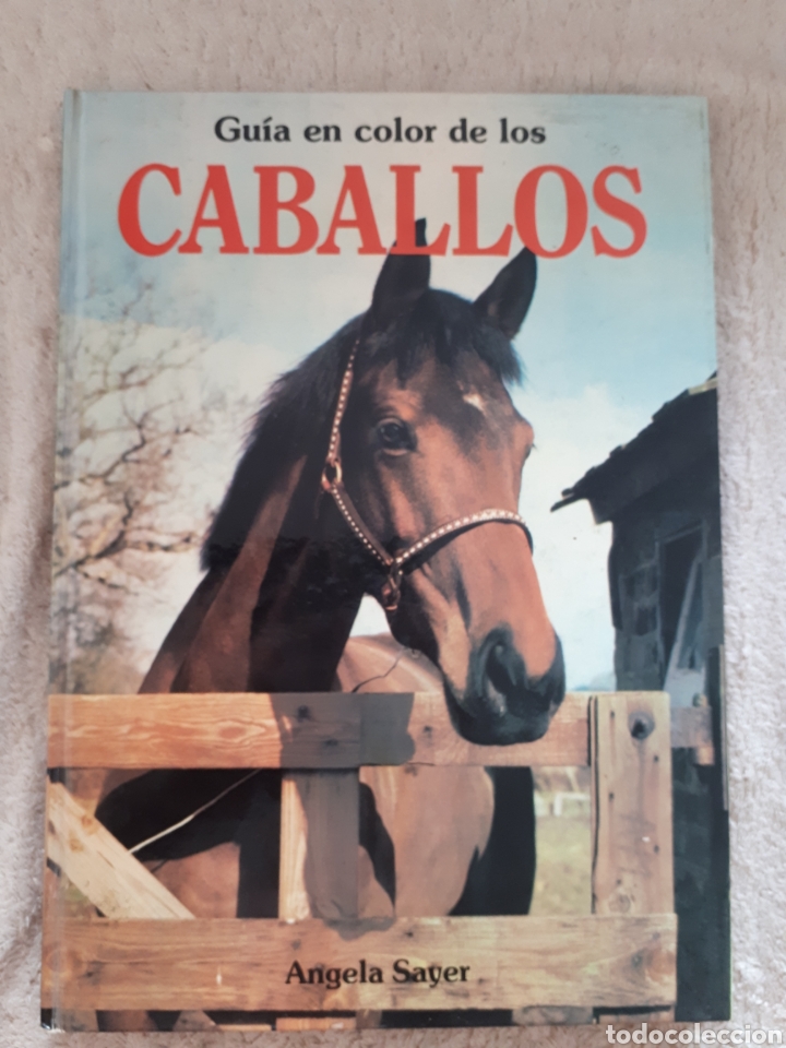 Libros de segunda mano: GUIA EN COLOR DE LOS CABALLOS - ANGELA SAYER - Foto 1