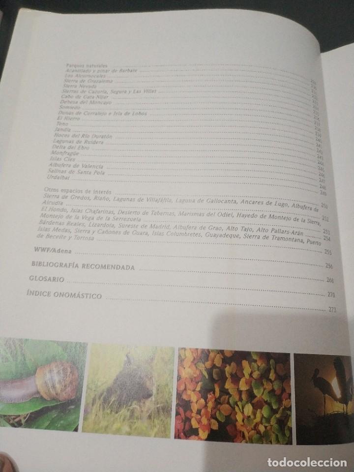 Libros de segunda mano: NATURALEZA DE ESPA&Ntilde;A. UN TESORO PARA EL A&Ntilde;O 2000 - Foto 4