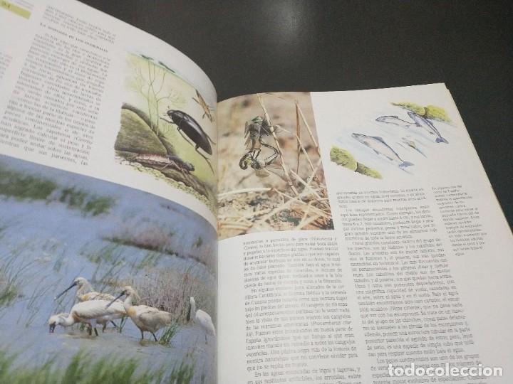 Libros de segunda mano: NATURALEZA DE ESPA&Ntilde;A. UN TESORO PARA EL A&Ntilde;O 2000 - Foto 5