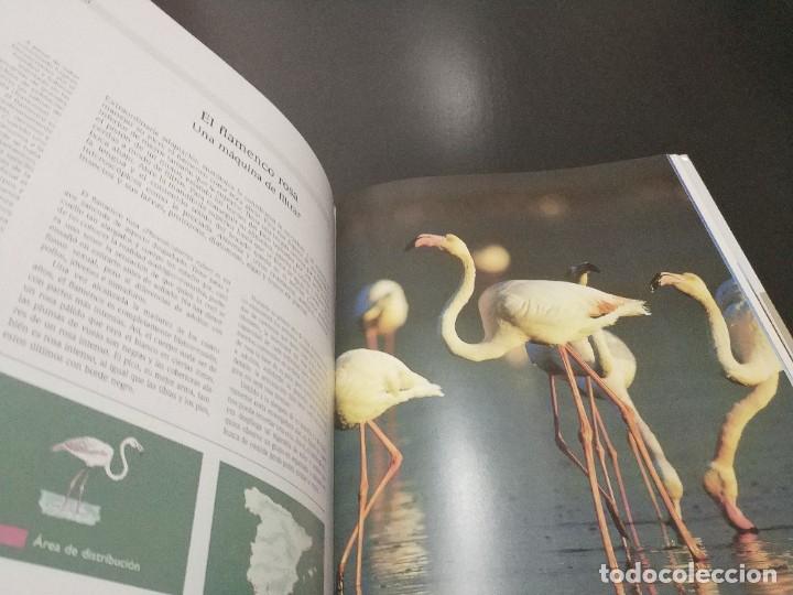 Libros de segunda mano: NATURALEZA DE ESPA&Ntilde;A. UN TESORO PARA EL A&Ntilde;O 2000 - Foto 6