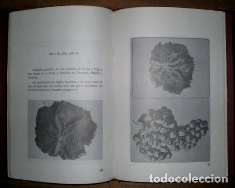 Libros de segunda mano: LARREA REDONDO, Antonio: DE LAS VIDES Y DE LAS TIERRAS DE LA RIOJA - Foto 2