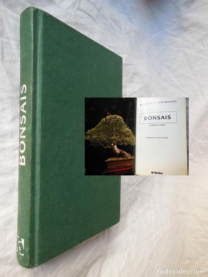 Libros de segunda mano: BONSAIS. 1999 GIANFRANCO GIORGI - Foto 1