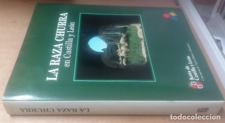 Libros de segunda mano: La raza churra en Castilla y Le&oacute;n, Junta de Castilla y Le&oacute;n, 1991 - Foto 2