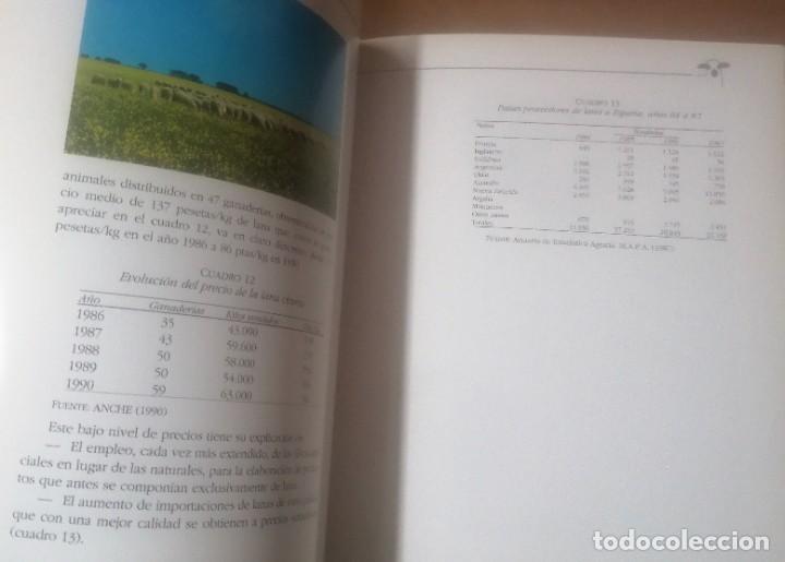 Libros de segunda mano: La raza churra en Castilla y Le&oacute;n, Junta de Castilla y Le&oacute;n, 1991 - Foto 4