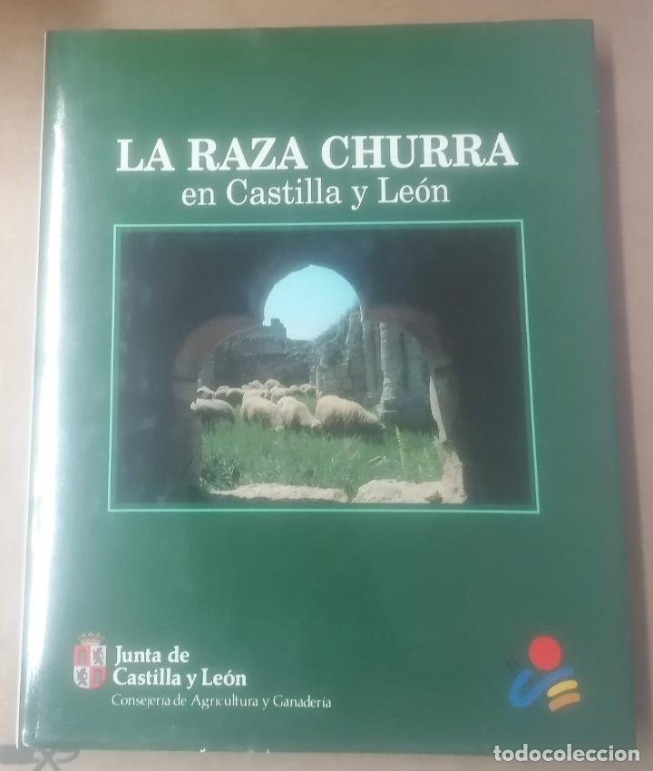 Libros de segunda mano: La raza churra en Castilla y Le&oacute;n, Junta de Castilla y Le&oacute;n, 1991 - Foto 1