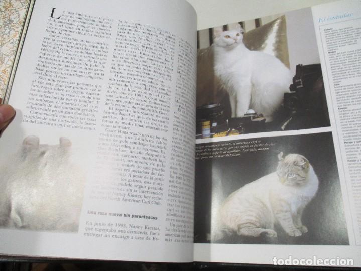 Libros de segunda mano: VV.AA El gato (3 tomos) W9378 - Foto 2