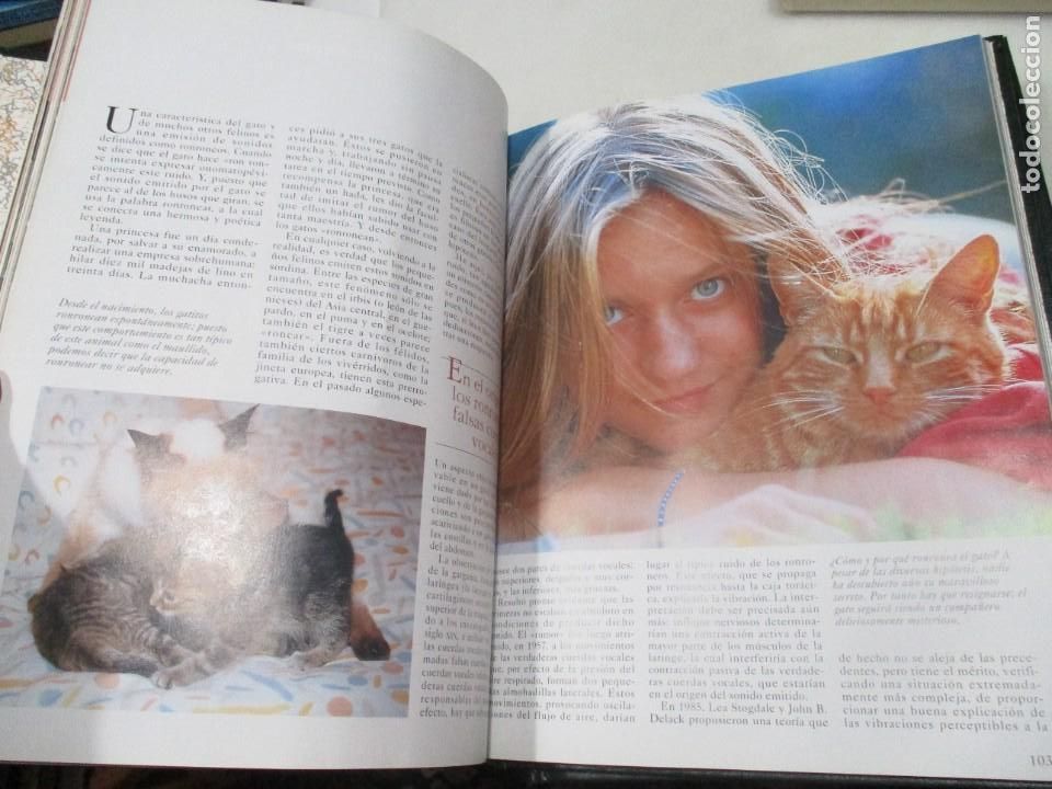 Libros de segunda mano: VV.AA El gato (3 tomos) W9378 - Foto 3