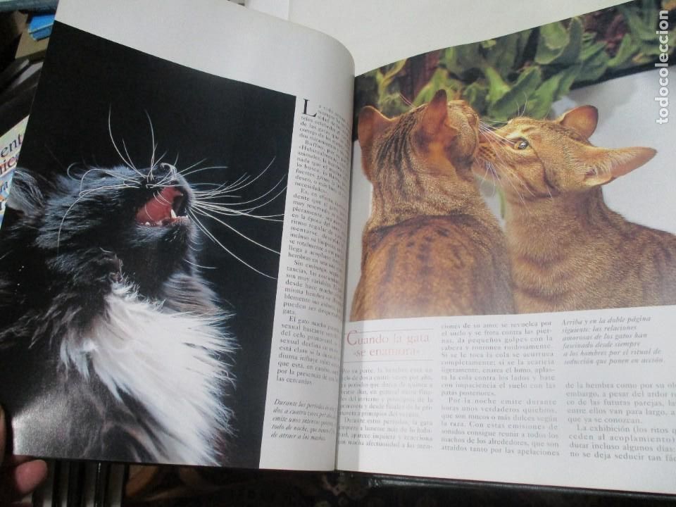 Libros de segunda mano: VV.AA El gato (3 tomos) W9378 - Foto 4