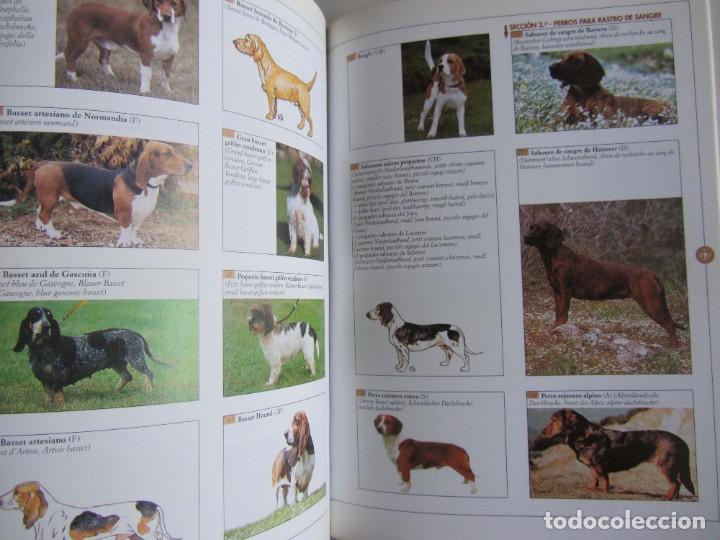 Libros de segunda mano: Guia visual de las razas caninas. Valeria Rossi Editorial de Vecchi 2001 - Foto 3