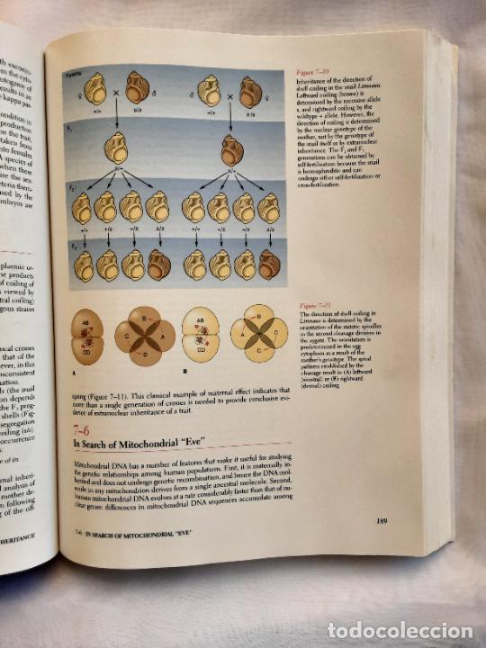 Libros de segunda mano: Genetics. 3rd edition. Daniel L. Hartl. 1994 - Foto 3