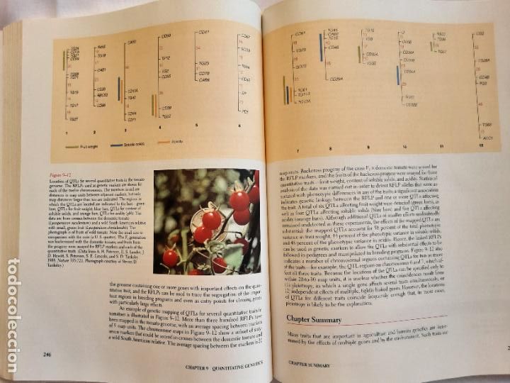 Libros de segunda mano: Genetics. 3rd edition. Daniel L. Hartl. 1994 - Foto 4