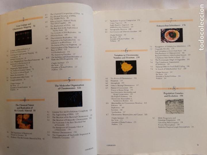 Libros de segunda mano: Genetics. 3rd edition. Daniel L. Hartl. 1994 - Foto 7