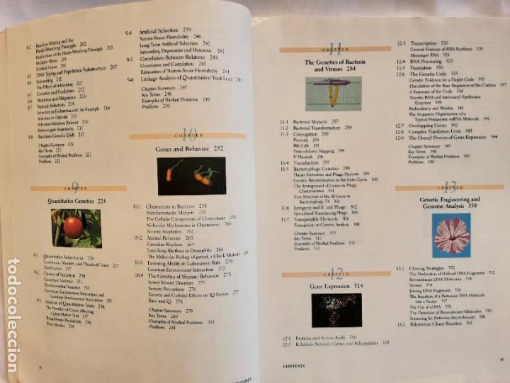 Libros de segunda mano: Genetics. 3rd edition. Daniel L. Hartl. 1994 - Foto 8