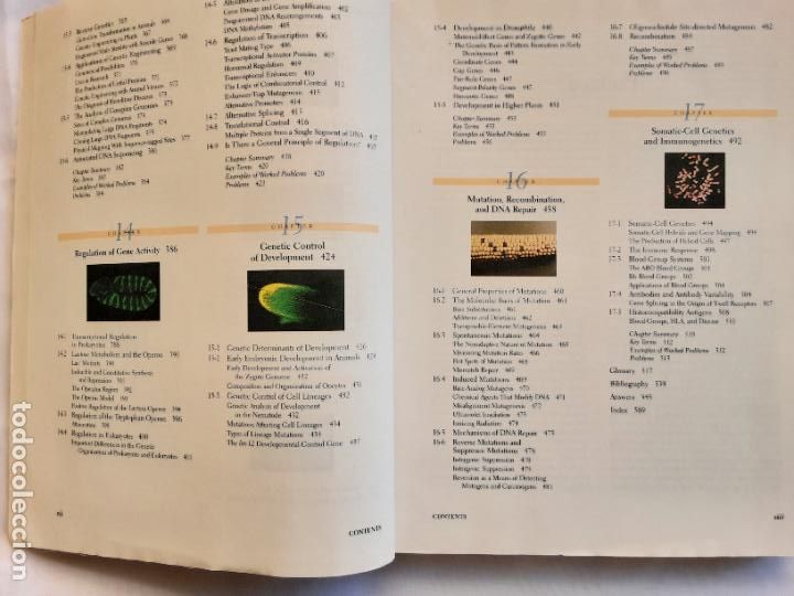 Libros de segunda mano: Genetics. 3rd edition. Daniel L. Hartl. 1994 - Foto 9