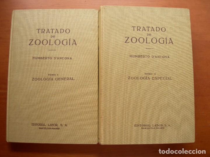 Libros de segunda mano: TRATADO DE ZOOLOG&Iacute;A / 2 TOMOS / HUMBERTO D&Aacute;NCONA - Foto 1