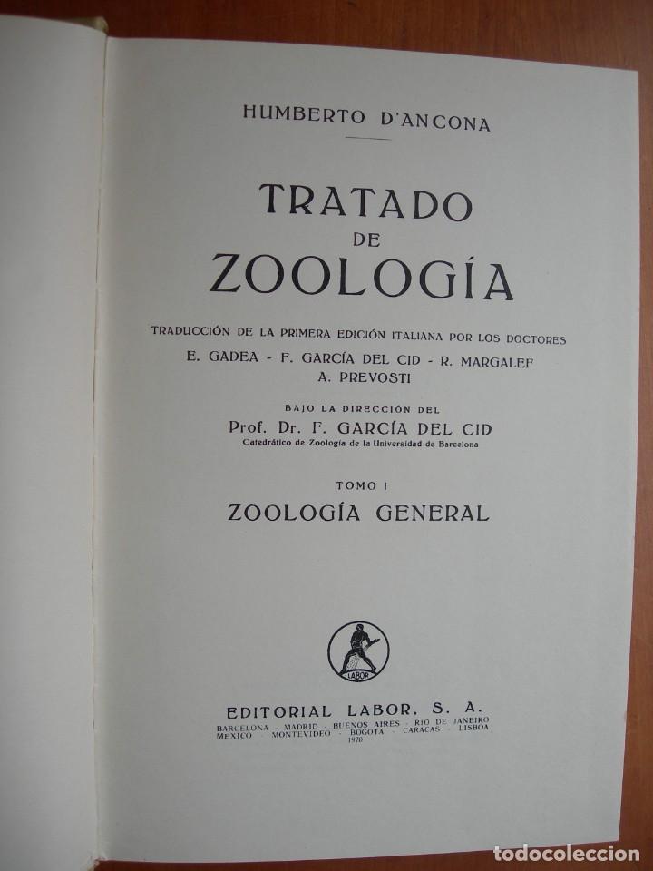 Libros de segunda mano: TRATADO DE ZOOLOG&Iacute;A / 2 TOMOS / HUMBERTO D&Aacute;NCONA - Foto 3