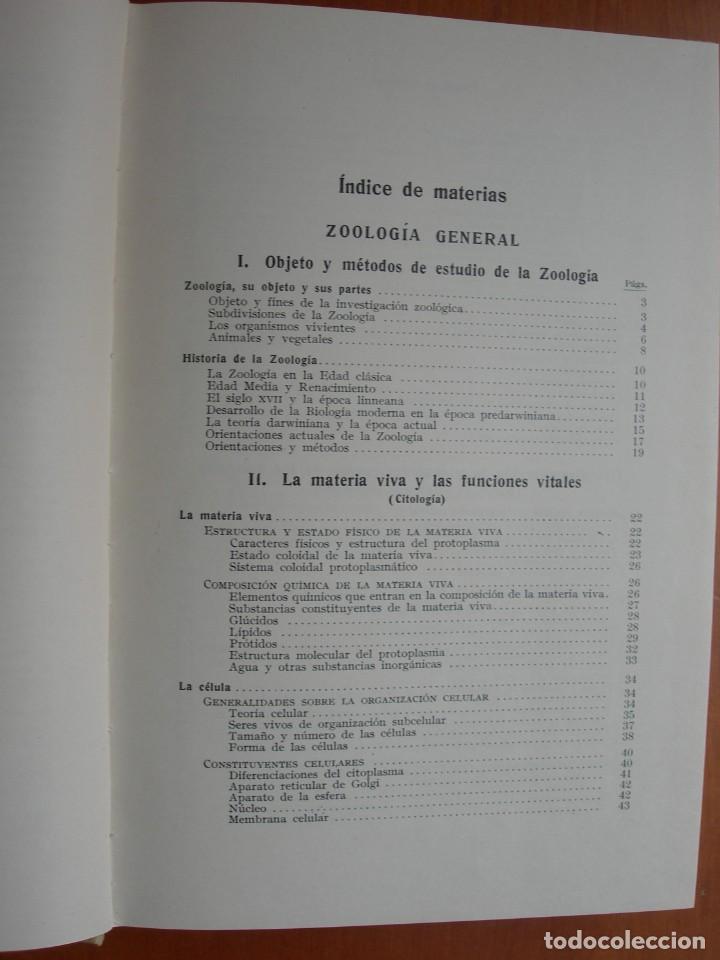 Libros de segunda mano: TRATADO DE ZOOLOG&Iacute;A / 2 TOMOS / HUMBERTO D&Aacute;NCONA - Foto 4