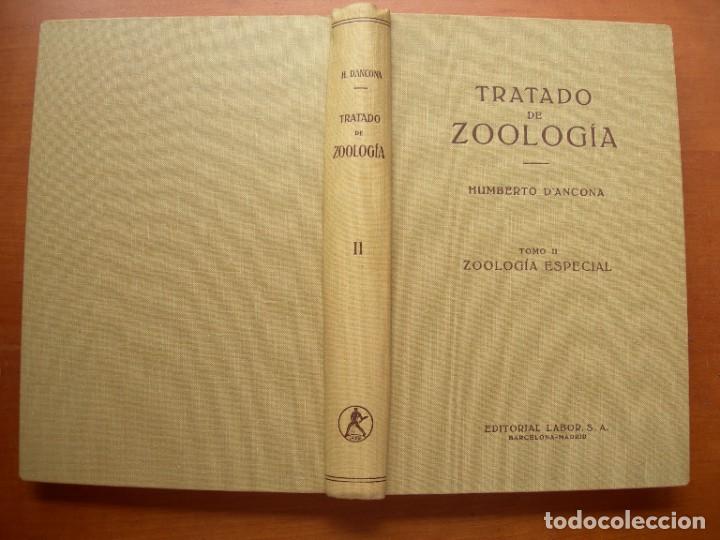 Libros de segunda mano: TRATADO DE ZOOLOG&Iacute;A / 2 TOMOS / HUMBERTO D&Aacute;NCONA - Foto 7