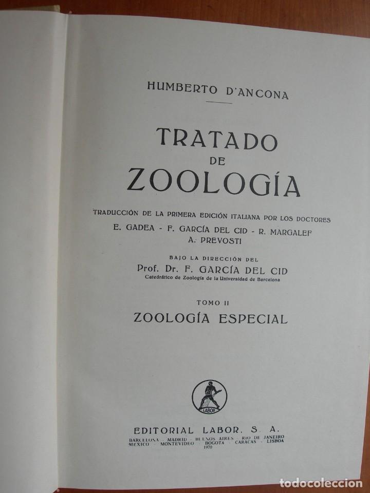 Libros de segunda mano: TRATADO DE ZOOLOG&Iacute;A / 2 TOMOS / HUMBERTO D&Aacute;NCONA - Foto 8