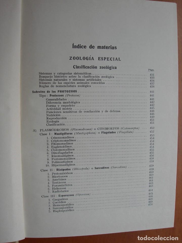 Libros de segunda mano: TRATADO DE ZOOLOG&Iacute;A / 2 TOMOS / HUMBERTO D&Aacute;NCONA - Foto 9