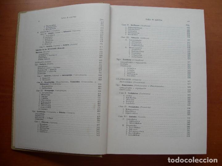 Libros de segunda mano: TRATADO DE ZOOLOG&Iacute;A / 2 TOMOS / HUMBERTO D&Aacute;NCONA - Foto 10