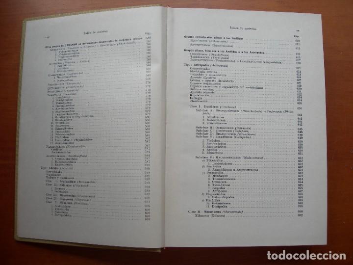 Libros de segunda mano: TRATADO DE ZOOLOG&Iacute;A / 2 TOMOS / HUMBERTO D&Aacute;NCONA - Foto 11