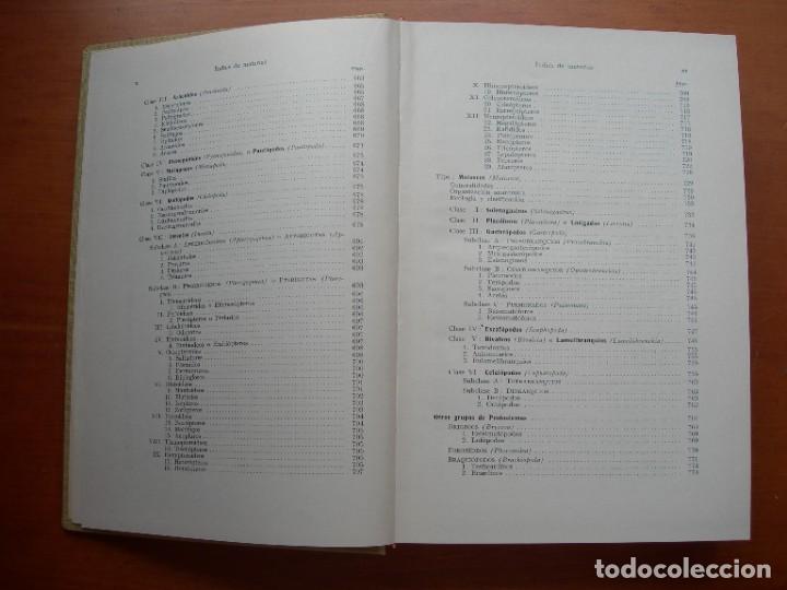 Libros de segunda mano: TRATADO DE ZOOLOG&Iacute;A / 2 TOMOS / HUMBERTO D&Aacute;NCONA - Foto 12